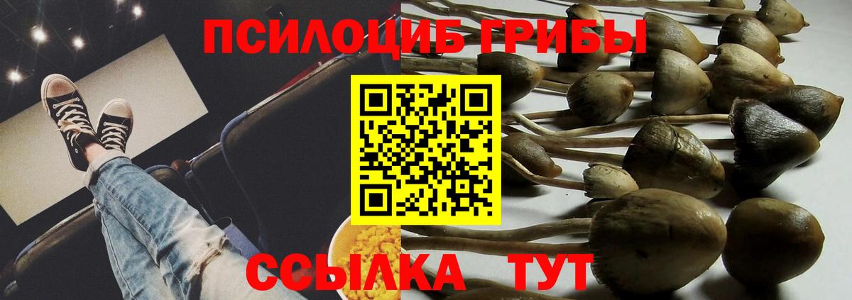Коломна  Галлюциногенные грибы ЛСД  Псилоцибиновые грибы Cubensis  Вход с VPN 